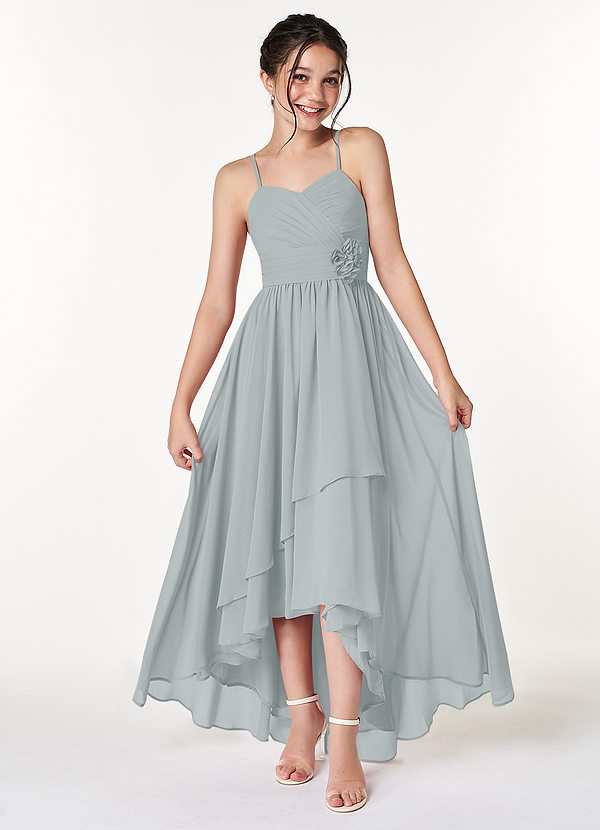 Azazie Catalina Junior Dolphin Grey A-Line Ruched Chiffon Dress image1