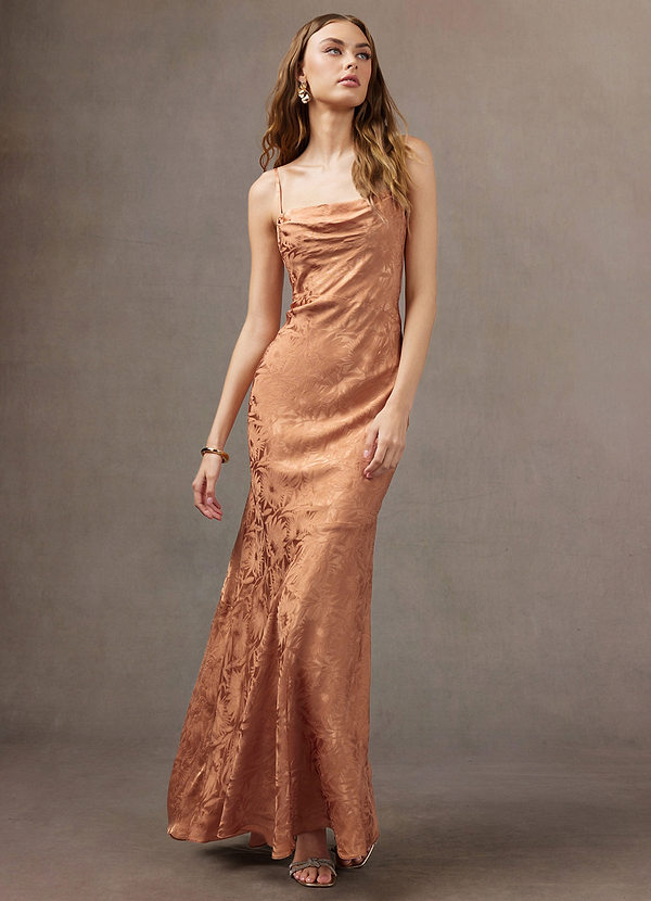Yvonne Amber Bronze Maxi Dress image1