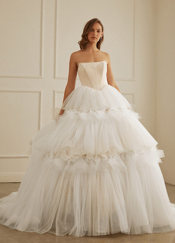 Christian Siriano Bridal for Azazie 2008 Vestidos de Novia Vestido de Blanco Diamante Champán de Tul de Corte Princesa con Lentejuela image1