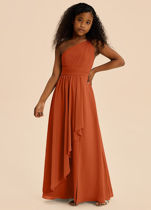 Azazie Skye Junior Burnt Orange A-Line Pleated Chiffon Dress image1
