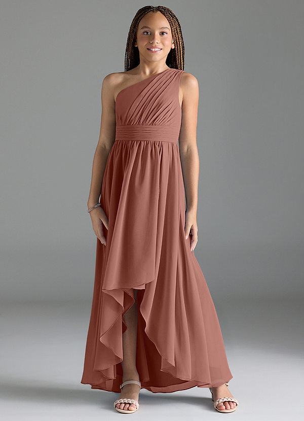 Azazie Mathilda Junior Robe Trapèze en Mousseline de soie Plissée Rose De Cèdre image1