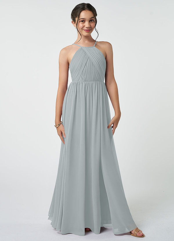 Azazie Leighton Junior Dolphin Grey A-Line Pleated Chiffon Dress image1