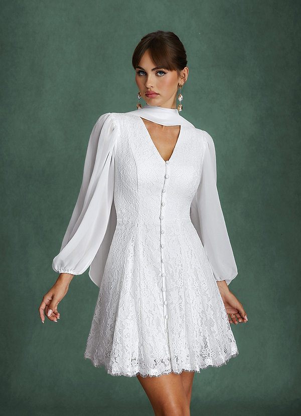 Dionne Wedding Dresses Diamond White A-Line Lace Dress image1