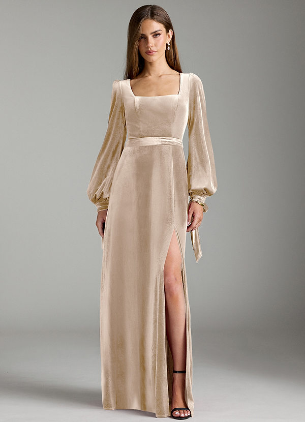 Azazie Leonia Bridesmaid Dresses Champagne A-Line Long Sleeve Velvet Dress image1