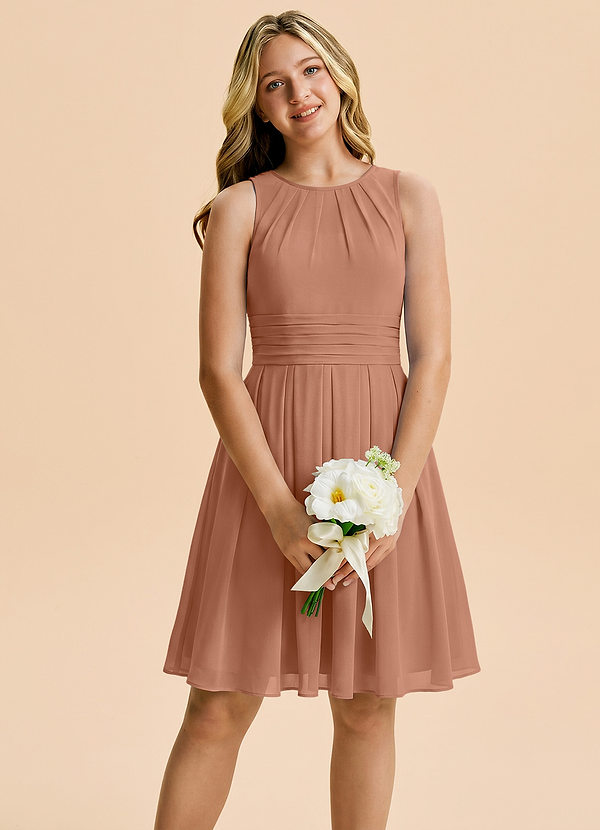 Bibiane Junior Bronzer A-Line Pleated Chiffon Dress image1