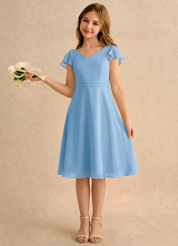 Azazie Narin Girls Formal Flower Girl Dresses Powder Blue A-Line with Sleeves Chiffon Dress image1