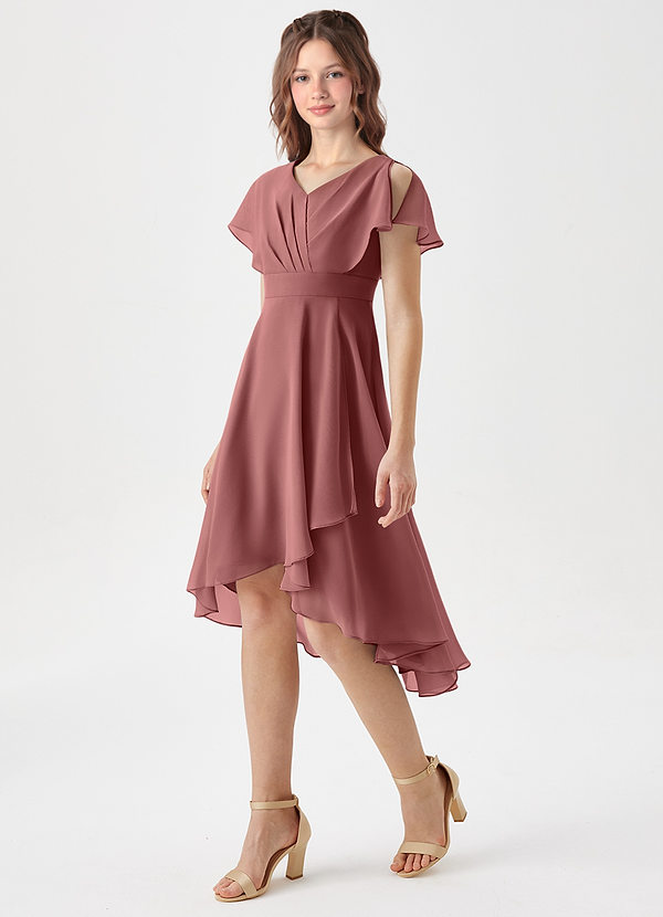 Azazie Graciela Junior Amethyst A-Line Pleated Chiffon Dress image1