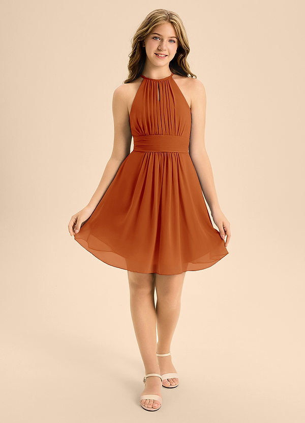 Azazie Bonnie Junior Paprika A-Line Pleated Chiffon Dress image1