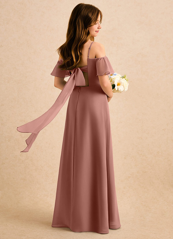Azazie Robyn Girls Formal Flower Girl Dresses Cedar Rose A-Line Sweetheart Neckline Chiffon Dress image1