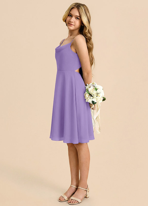 Azazie Shale A-Linie Schleifen Chiffon Kleid Tahiti image1