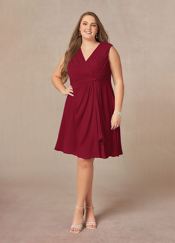 Azazie Theron Mother of the Brides Dresses Burgundy A-Line V-Neck Pleated Chiffon Dress image1