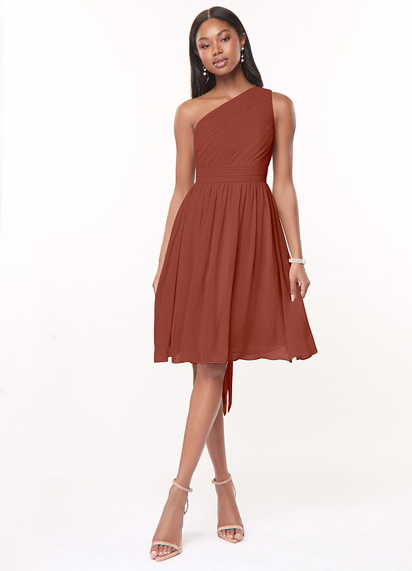 Azazie Katrina Vestidos Dama de Honor Vestido de Castaño de Gasa de Corte en A con Hombro unilateral image1