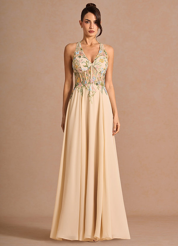 Nymeria Champagne Multi Maxi Dress image1