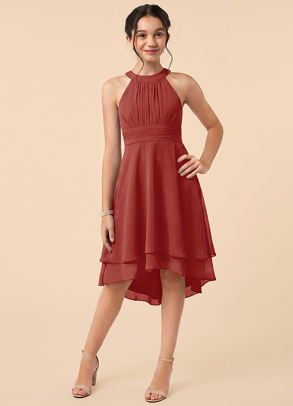 Azazie Linna Junior Terracotta A-Line Pleated Chiffon Dress image1