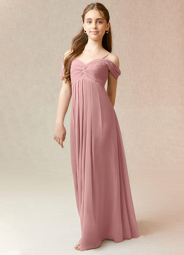 Azazie Kaitlynn Junior Dusty Rose A-Line Off the Shoulder Chiffon Dress image1