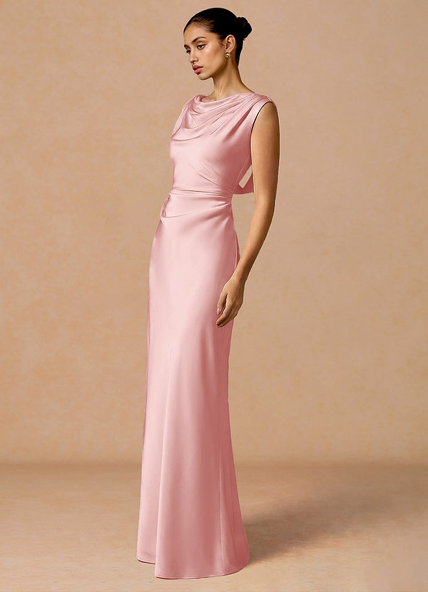 Evarine Haze Pink Maxi Dress image1