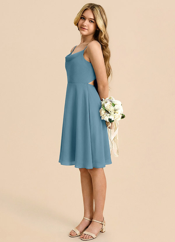 Azazie Shale Vestido de Bermudas de Gasa de Corte en A con Lazo image1