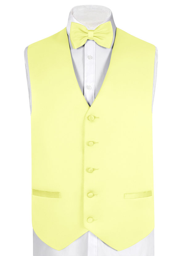 back Gentlemen's Collection Matte Satin Vest