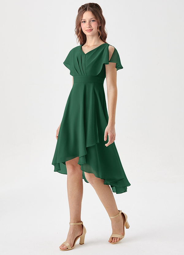Azazie Graciela Junior Dark Green A-Line Pleated Chiffon Dress image1
