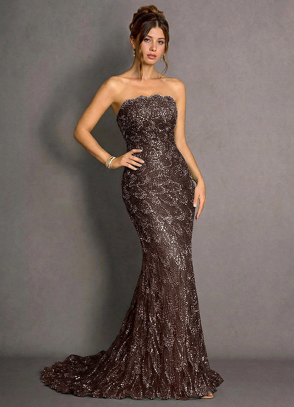 Velina Mocha Brown Maxi Dress image1