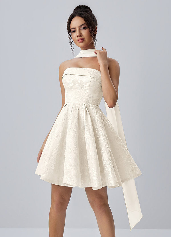 Calistabella Cream A-Line Jacquard Chiffon Mini Dress image1