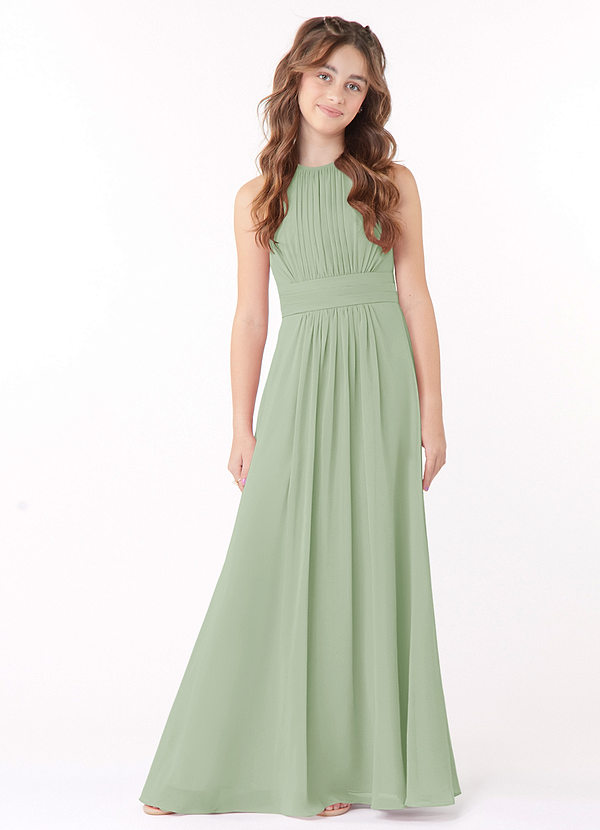 Azazie Bonnie Junior Dusty Sage A-Line Pleated Chiffon Dress image1