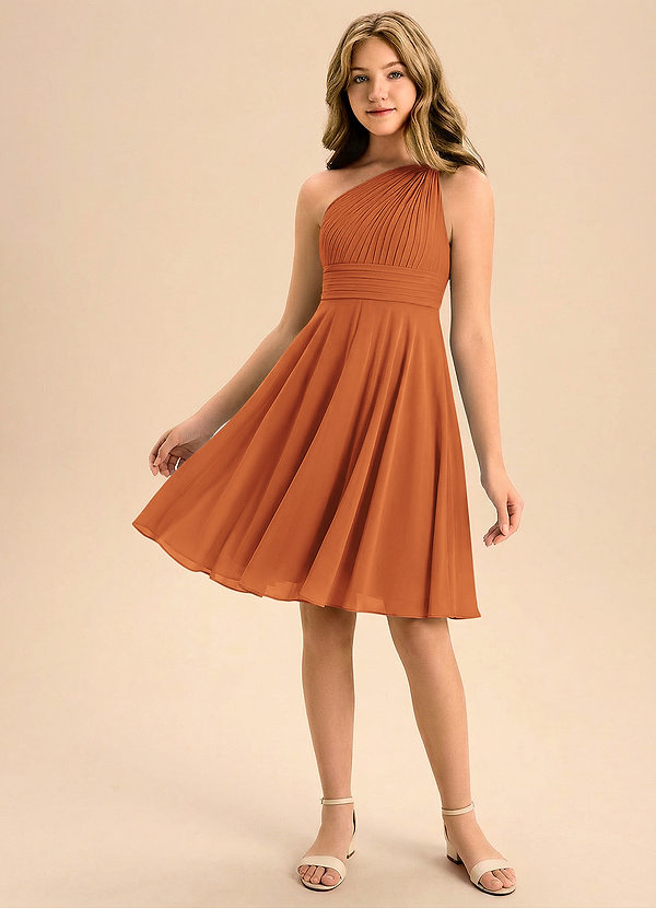 Azazie Charlize Junior A-Line Plisseret Chiffon Mini Junior brudepige Kjole image1