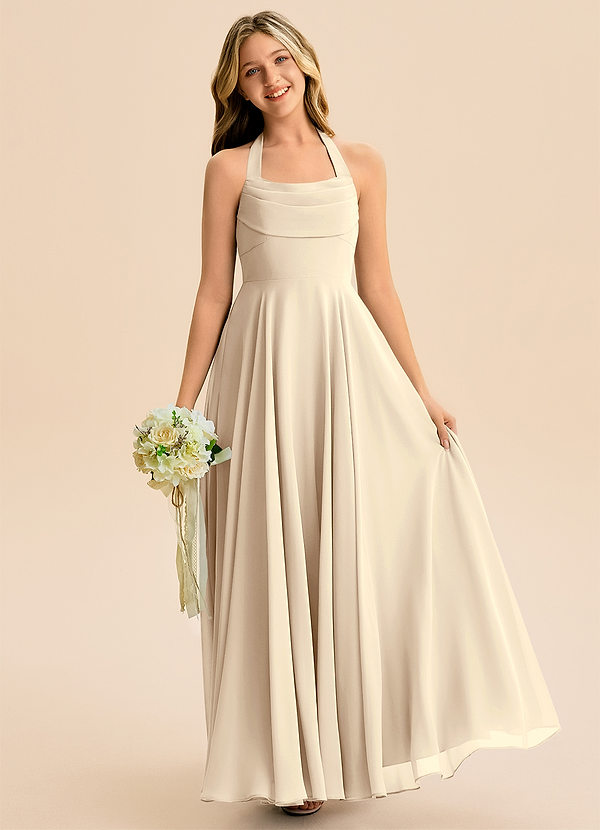 Azazie Kady Junior Champagne A-Line Sweetheart Neckline Chiffon Dress image1