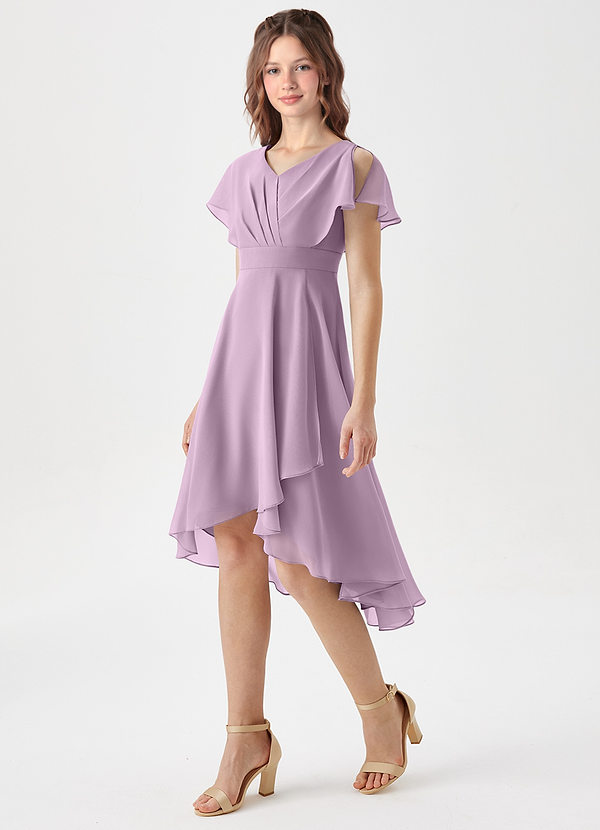 Azazie Graciela Junior Wisteria A-Line Pleated Chiffon Dress image1