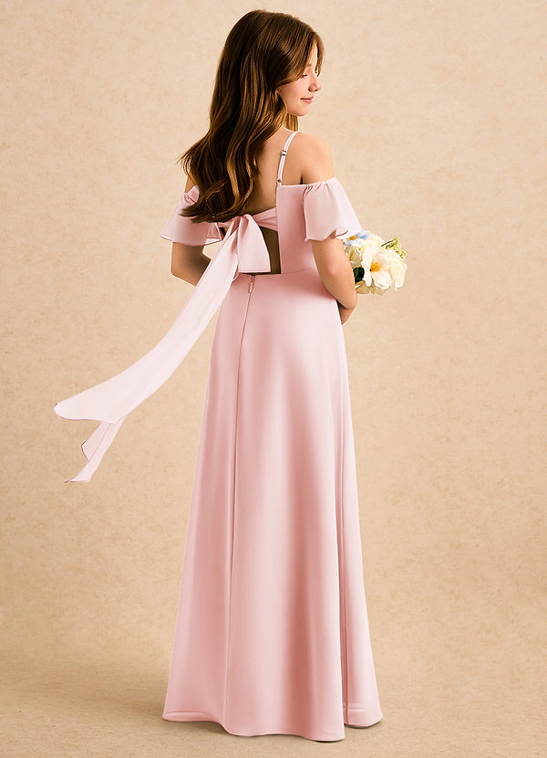 Azazie Robyn Girls Formal Sukienki dla dziewczynek sypiących kwiaty Linia A Dekolt w kształcie serca Szyfon Długość podłogi Sukienka image1