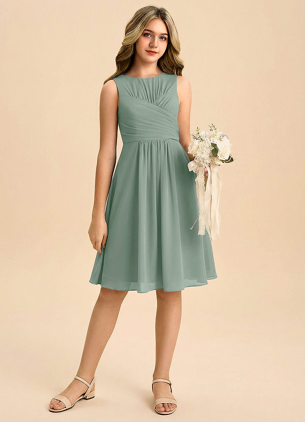 Azazie Skyla Junior Silver Sage A-Line Pleated Chiffon Dress image1