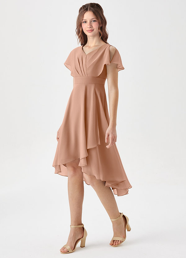 Azazie Graciela Junior Champagne Rose A-Line Pleated Chiffon Dress image1