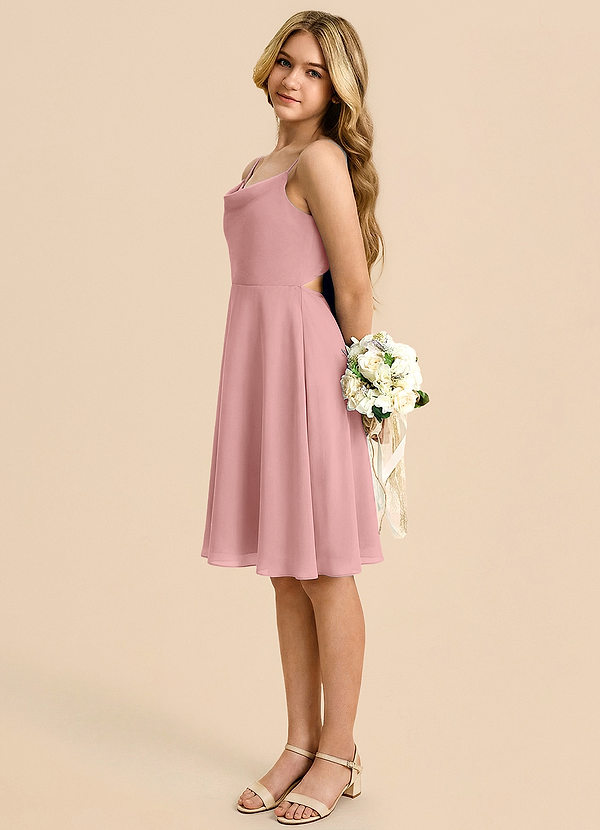 Azazie Shale Jurk van Chiffon met A-Lijn Boog Stoffige Roos image1