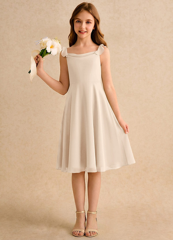 Azazie Pup Flower Girl Dresses White Alabaster A-Line Pleated Chiffon Dress image1