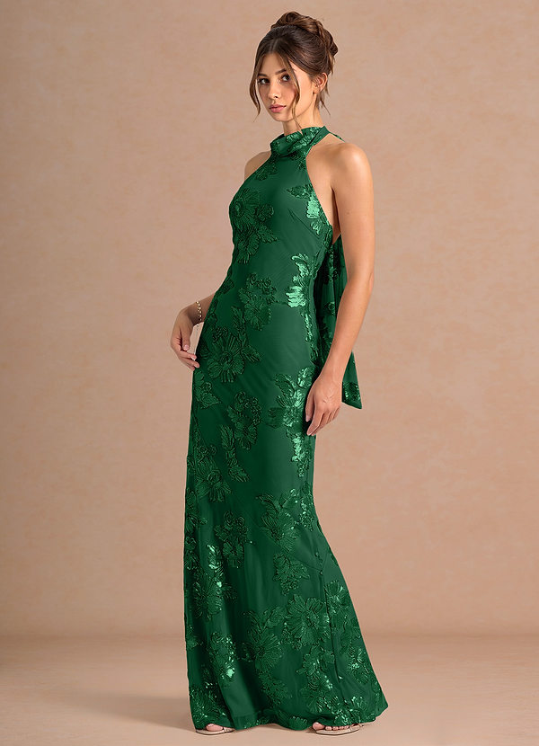Robe Maxi Forêt Verte Dillon image1