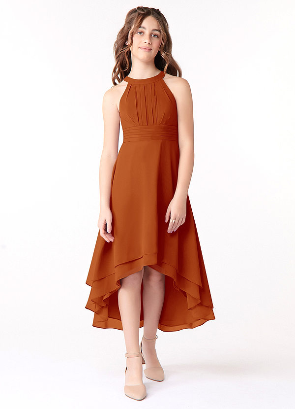 Azazie Linna Junior Paprika A-Line Pleated Chiffon Dress image1