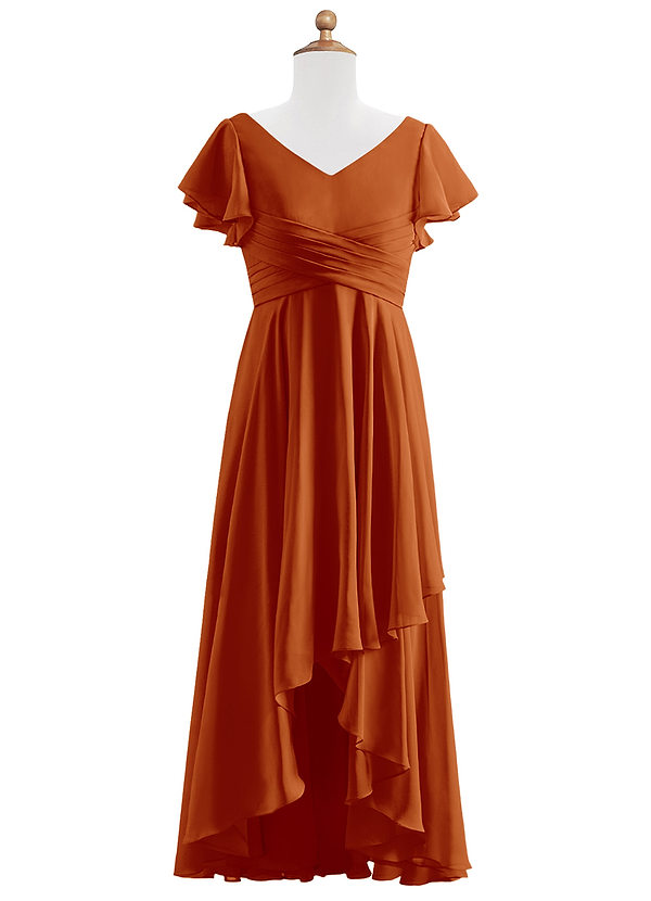Azazie Caria Junior Paprika A-Line Pleated Chiffon Dress image1