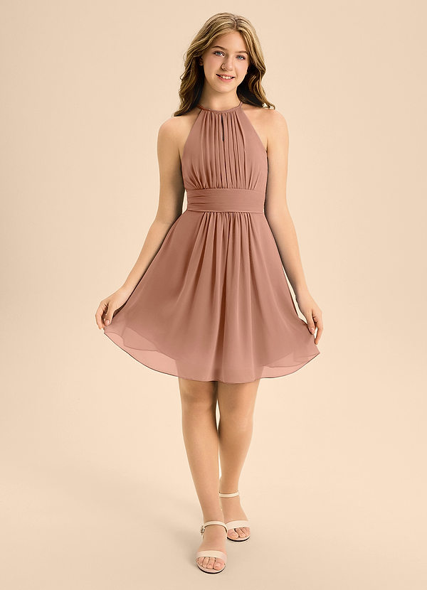 Azazie Bonnie Junior Bronzer A-Line Pleated Chiffon Dress image1