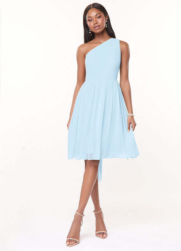 Azazie Katrina Bridesmaid Dresses Sky Blue A-Line One Shoulder Chiffon Dress image1