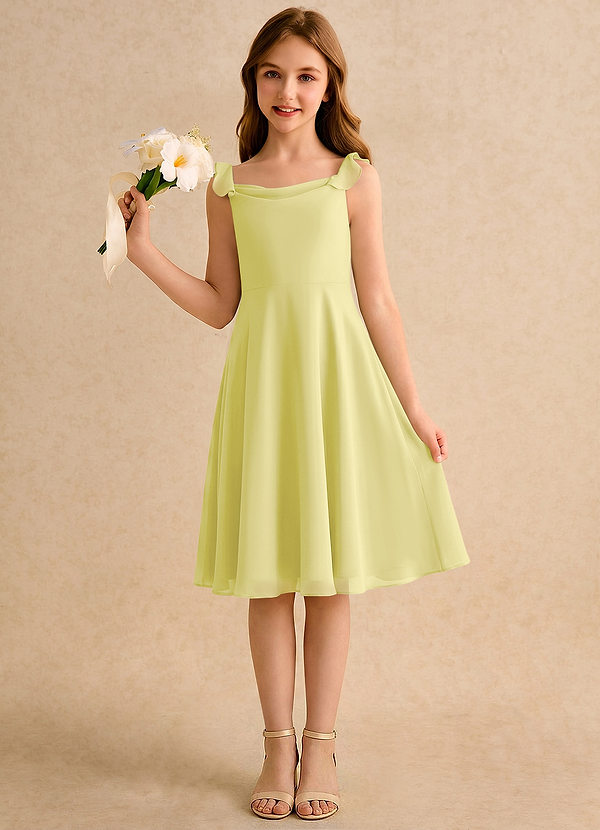 Azazie Pup Girls Formal Flower Girl Dresses Lemon Sorbet A-Line Pleated Chiffon Dress image1