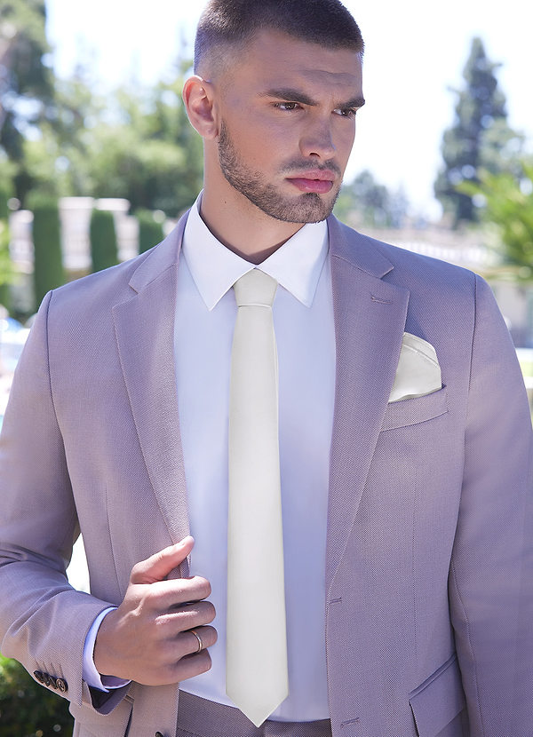 back Gentlemen's Collection Matte Satin Skinny Tie
