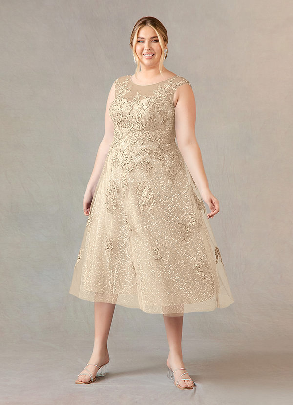 Azazie Flynn Mother of the Brides Dresses Champagne A-Line Boatneck Lace Tulle Dress image1