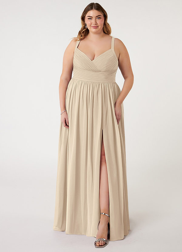Azazie Chanel Bridesmaid Dresses A-Line Pleated Chiffon Floor-Length Dress image1