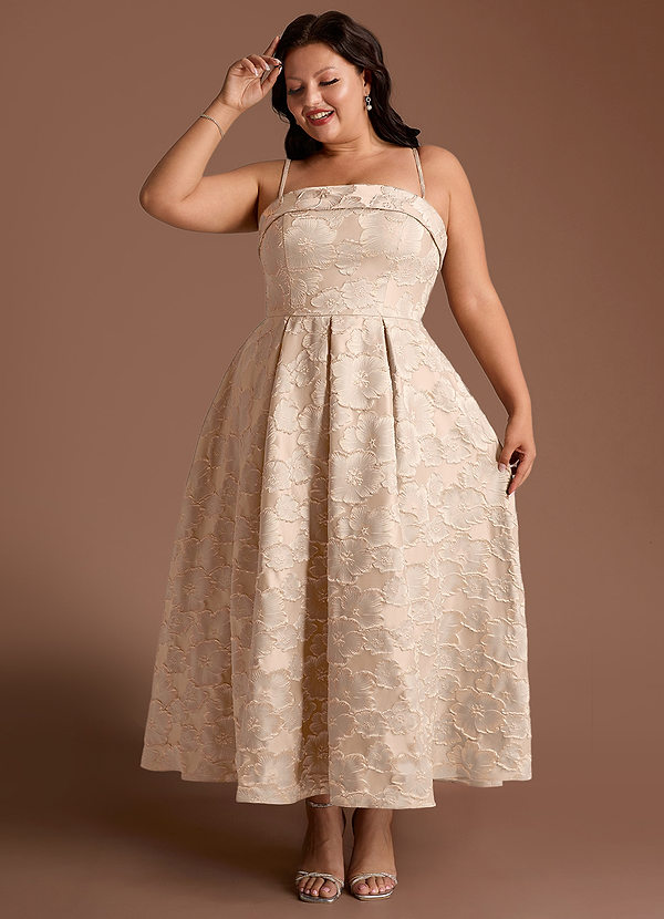 Robe Longue Fard à Joues Vintage Florentine image1