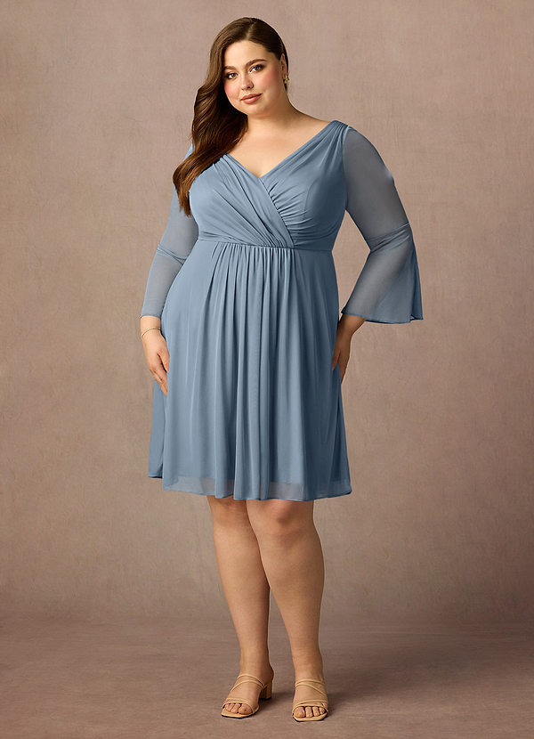 Azazie Teraso Mother of the Brides Dresses Dusty Blue A-Line Pleated Mesh Dress image1