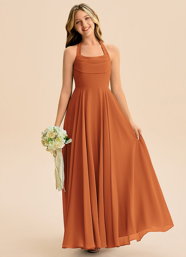 Azazie Kady Junior Cinnamon A-Line Sweetheart Neckline Chiffon Dress image1