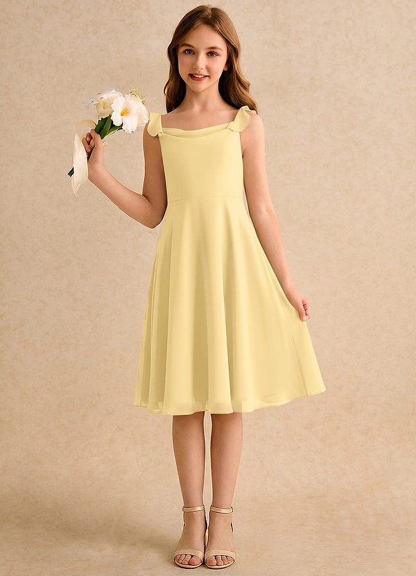 Pup Girls Formal Flower Girl Dresses Butter A-Line Pleated Chiffon Dress image1
