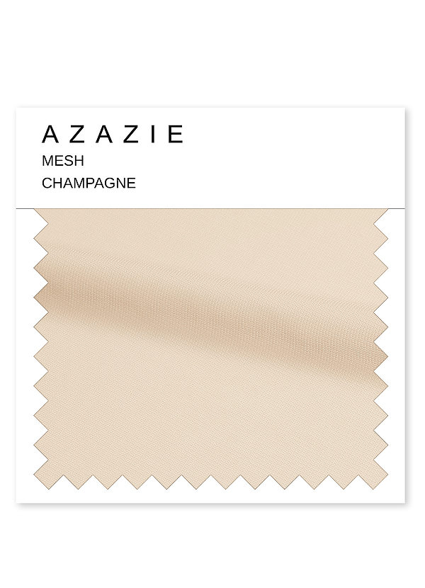 front Azazie Champagne Mesh Swatch