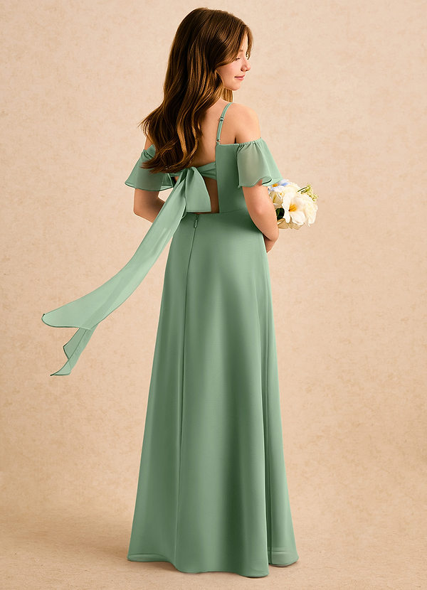 Azazie Robyn Girls Formal Sukienki dla dziewczynek sypiących kwiaty Linia A Dekolt w kształcie serca Szyfon Długość podłogi Sukienka image1