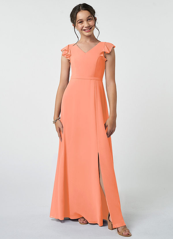 Azazie Claudine Junior Sunset A-Line Pleated Chiffon Dress image1